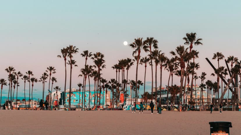 Strand met palmbomen bij zonsondergang in Santa Monica tijdens een taalcursus in de Verenigde Staten.